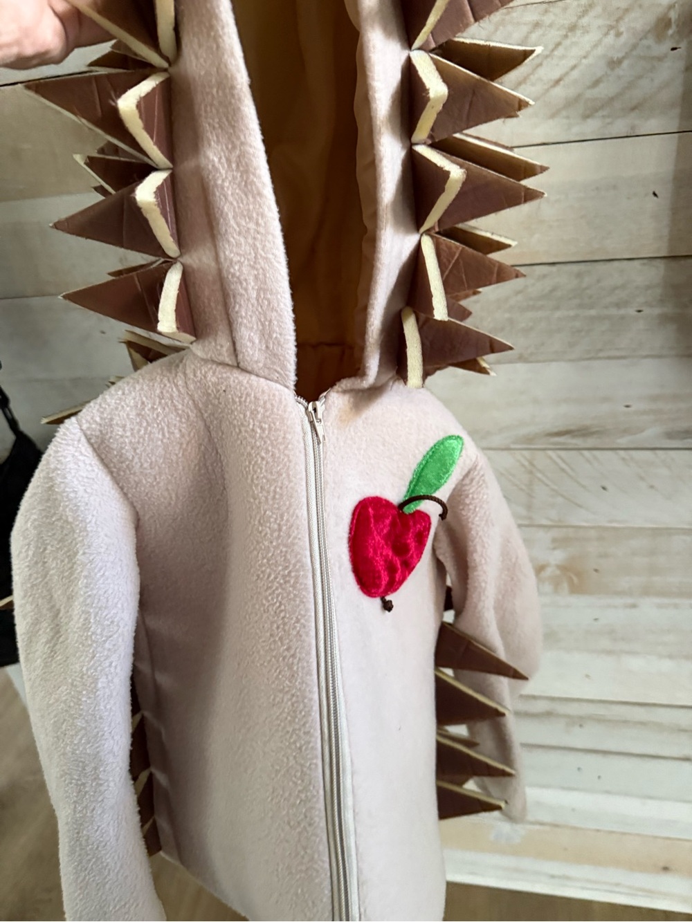 Hedgehog toddler, kids Costume for Halloween